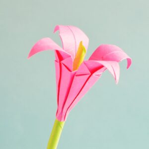 Origami Workshop Calgary
